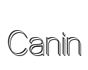 Canin Font Image