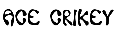 Ace Crikey Font Image