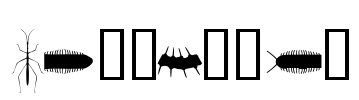 Insectile Font Image