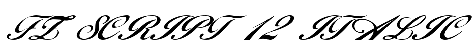 FZ SCRIPT 12 ITALIC Font Image