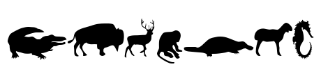 Animals Font Image