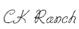 CK Ranch Font Image