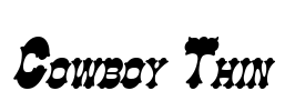 Cowboy Thin Font Image