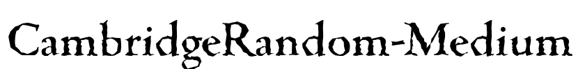 CambridgeRandom-Medium Font Image