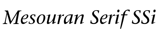 Mesouran Serif SSi