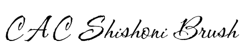 CAC Shishoni Brush