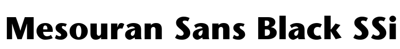 Mesouran Sans Black SSi Font Image