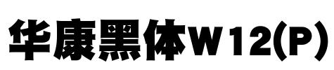 华康黑体W12(P) Font Image