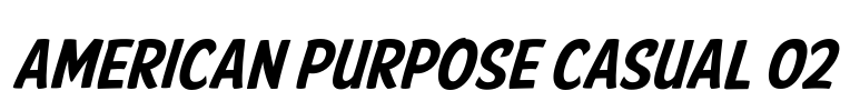 American Purpose Casual 02 Font Image