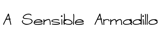 A Sensible Armadillo Font Image