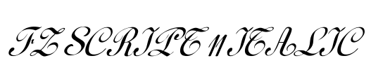 FZ SCRIPT 11 ITALIC Font Image