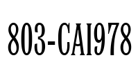 803-CAI978 Font Image